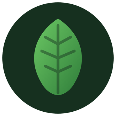 Basil & Stone logo